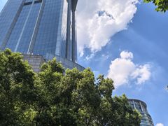 -上海明天广场JW万豪酒店