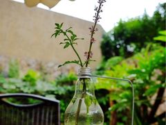 -看见远方·莫干遥远的山民宿