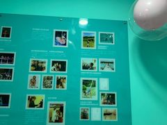 -Isee灰姑娘国际儿童艺术中心(证大·大拇指广场店)