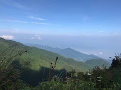 -武陵山森林公园