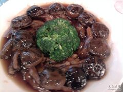 蚝皇花菇扣玉掌-稻香酒家·33年老字号·港式粤菜(富邦中心店)