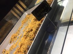 -鲍师傅糕点(春熙路店)