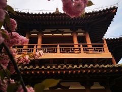 -西安青龙寺遗址景区