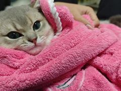 -暖阳宠物医院·犬猫康复中心·骨科