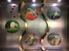 -上海昆虫博物馆