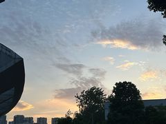 -重庆市奥林匹克体育中心-游泳跳水馆