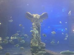 -梦幻海洋王国(吾悦广场张家港店)