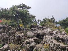 -王莽岭风景区