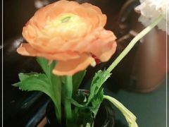 -碧特博格·20年品牌西餐厅(芜湖路店)