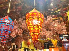 -吉祥圣雪藏餐