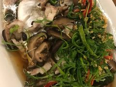 石斑鱼-芽庄MP泰式海鲜海景餐厅