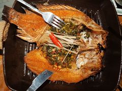 -雀舞云南菜(天津天河城购物中心店)