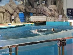 -福州罗源湾海洋世界旅游区