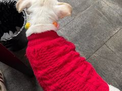 -纽道沸巫山纸包鱼(中海国际店)