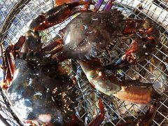 赤甲红-海味当家·蒸锅海鲜(星海公园店)