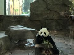 -宁波野生动物园