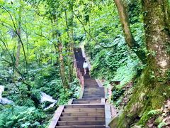 -瓦屋山景区