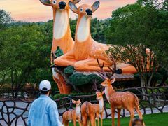 -南京银杏湖乐园