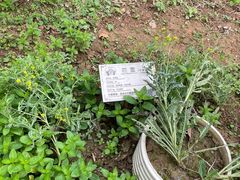 -广州神农草堂中医药博物馆