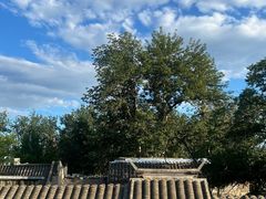 -闲·胡同 Barblu Hutong(雍和宫五道营店)