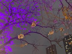 -红星桥(地铁站)