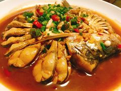 -全乐鱼馆·淳牌有机鱼直营店