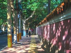 -大学路8号炸串(大学路十四号院店)