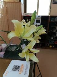 -FineYoga梵音瑜伽·普拉提