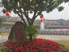 -广州莲花山旅游区