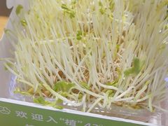 -蒙都43°9羊火锅·赤峰美食(桥北店)