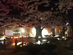 -蓝鲸湾汤泉(包河店)