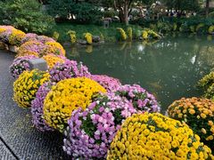-杭州植物园