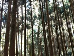 -雁荡山大龙湫景区