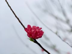 -凤翔首邑温泉度假村