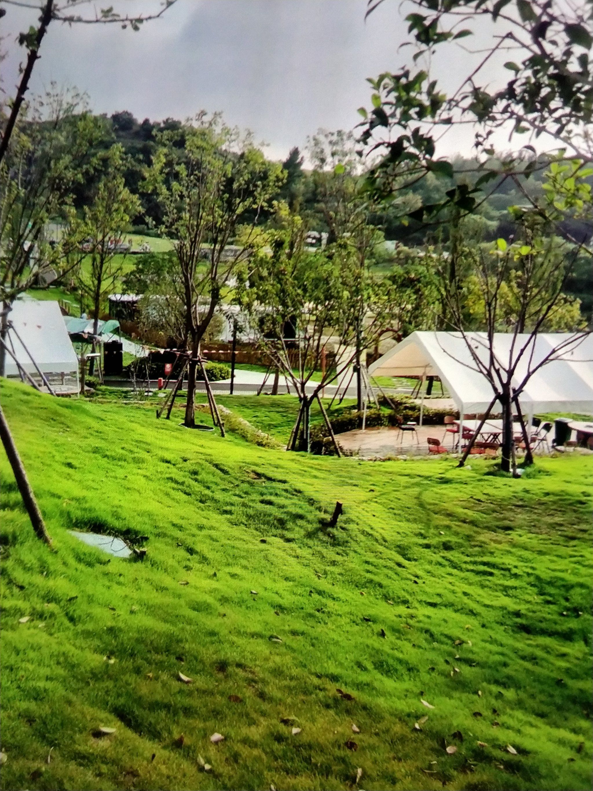 0元玩转这座城在我们肥东的包公镇也有这么美丽的景色