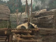 -鄂尔多斯野生动物园