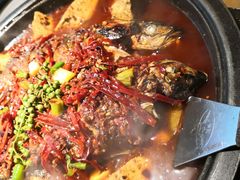 -吞鱼兽麻辣烤鱼(万达店)