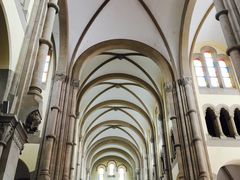 -上海佘山国家森林公园西佘山园