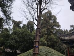 -武侯墓风景区