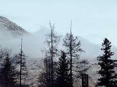 -同里国家湿地公园