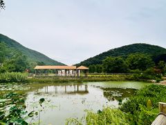-老山国家森林公园