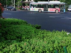 -菲特游泳健身(洸河店)