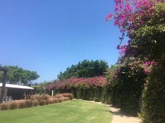 -布里斯班南岸公园