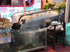 -旅南活海鲜-屏东(墾丁海鮮，海鮮餐廳，墾丁團體合菜，平價熱炒，墾丁熱炒店，活海鮮推薦，在地海鮮餐廳)