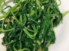 炒苋菜-长平肥姐白粥·海鲜打冷