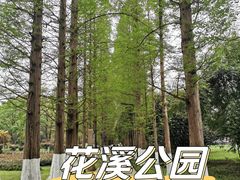 -花溪公园