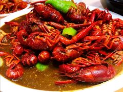 -怪怪龙虾·澳洲蓝龙上新(惊驾路店)
