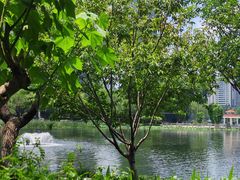 -洈水谣 · 地道荆州松滋菜(菱角湖公园店)