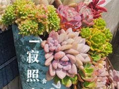 -寂照庵