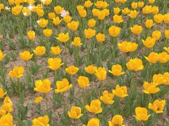 -咸阳湖景区-统一广场